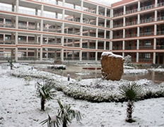 庭院 雪景